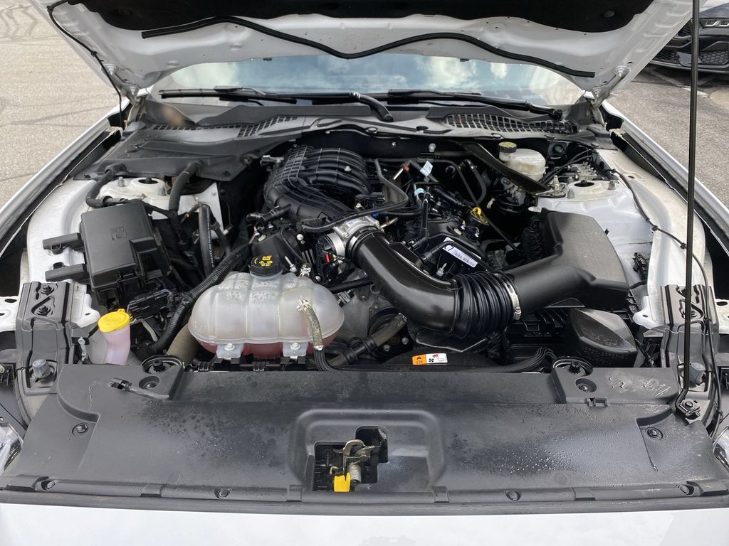 Mustang V6 2017 à Alliston, Ontario - 24 - w1024h768px