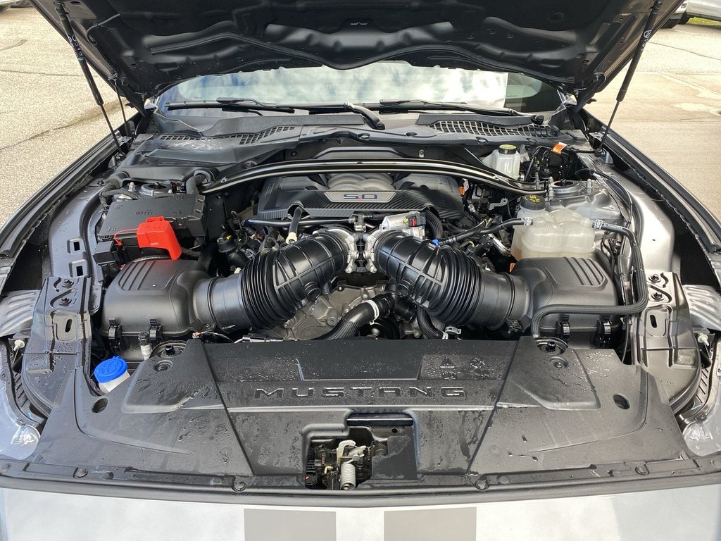 Ford Mustang  2024 à Alliston, Ontario - 25 - w1024h768px