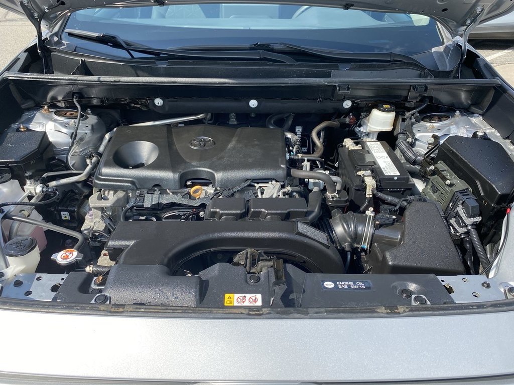 2019 Toyota RAV4 LE in Alliston, Ontario - 24 - w1024h768px