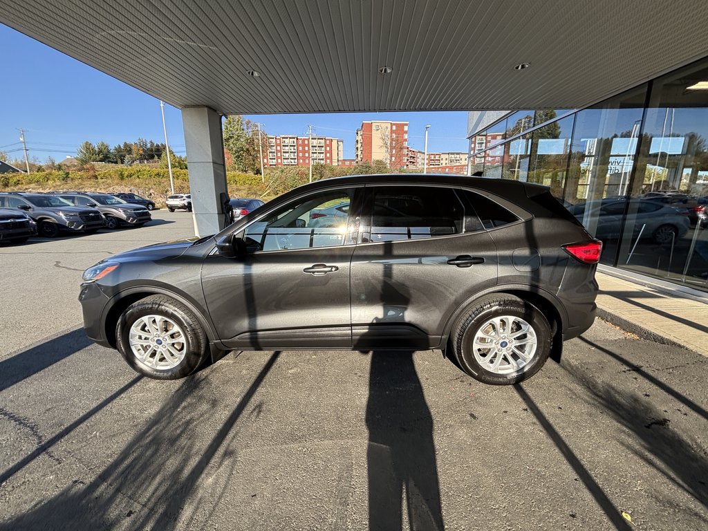 2020  Escape SE AWD in Saint-Georges, Quebec - 6 - w1024h768px