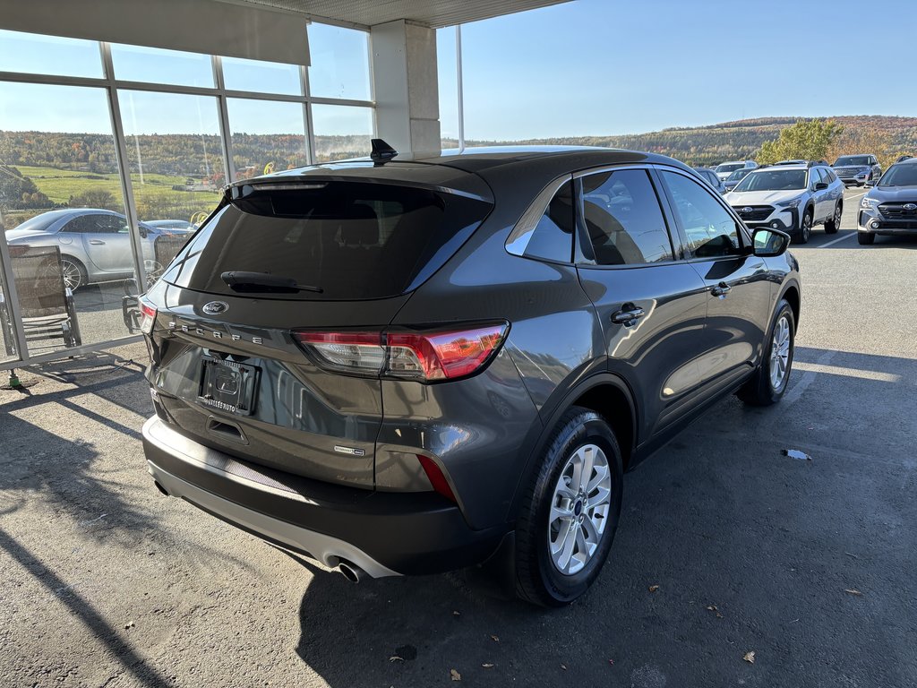 2020  Escape SE AWD in Saint-Georges, Quebec - 3 - w1024h768px