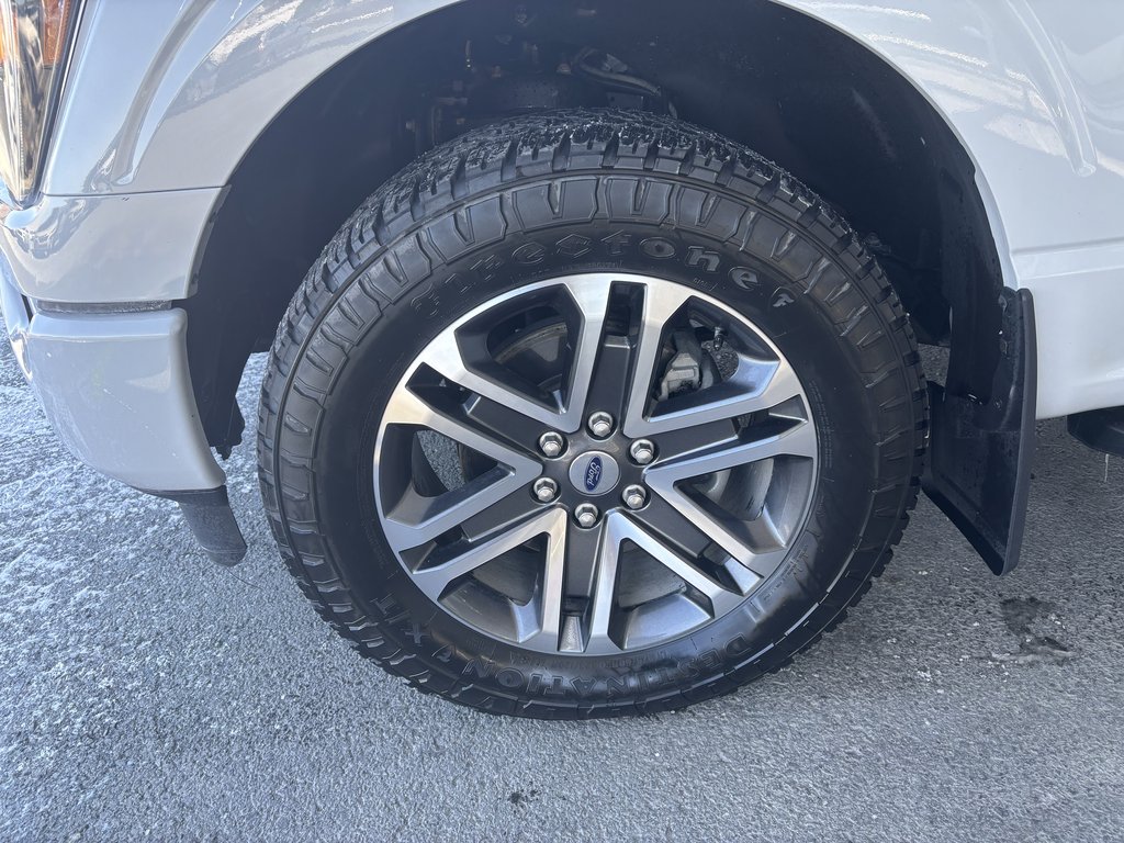 Ford F-150 XL 4WD SuperCrew 6.5' Box 2023 à Saint-Georges, Québec - 9 - w1024h768px