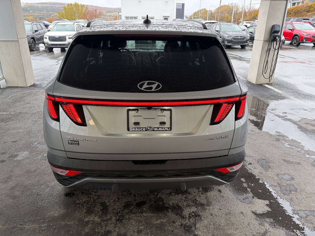 Hyundai TUCSON HYBRIDE 2024 à Saint-Georges, Québec - 4 - w1024h768px