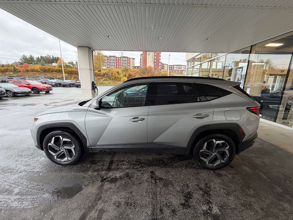 Hyundai TUCSON HYBRIDE 2024 à Saint-Georges, Québec - 6 - w1024h768px