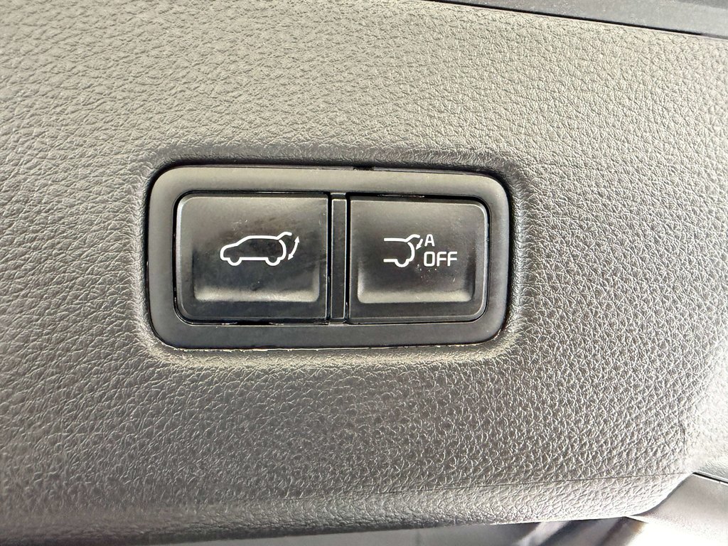 Kia Carnival EX 2024 à Saint-Georges, Québec - 23 - w1024h768px