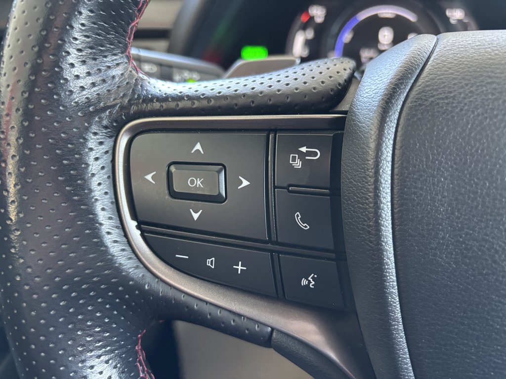 Lexus UX 250h CVT 2022 à Saint-Georges, Québec - 14 - w1024h768px