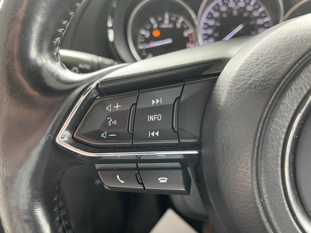 2017 Mazda CX-9 AWD 4dr GT in Saint-Georges, Quebec - 14 - w1024h768px