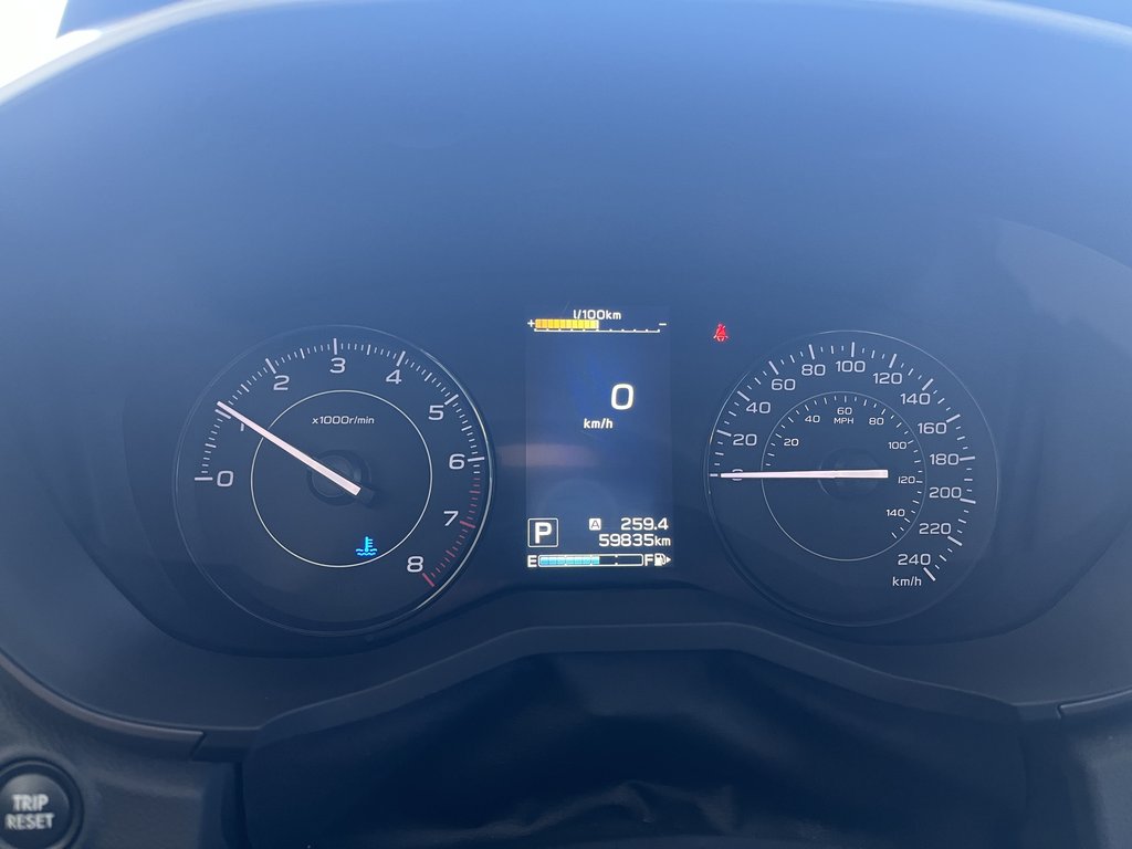 Subaru Impreza 2.0i Touring 4-door Auto 2019 à Saint-Georges, Québec - 10 - w1024h768px