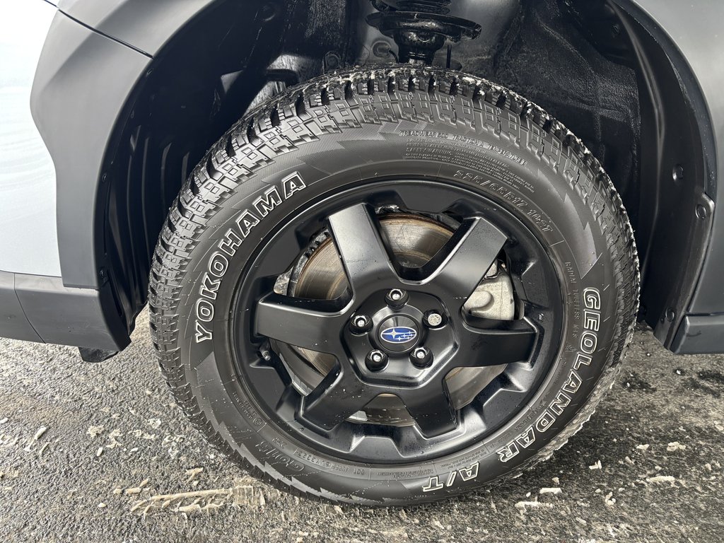 2024 Subaru Outback Wilderness AWD in Saint-Georges, Quebec - 10 - w1024h768px