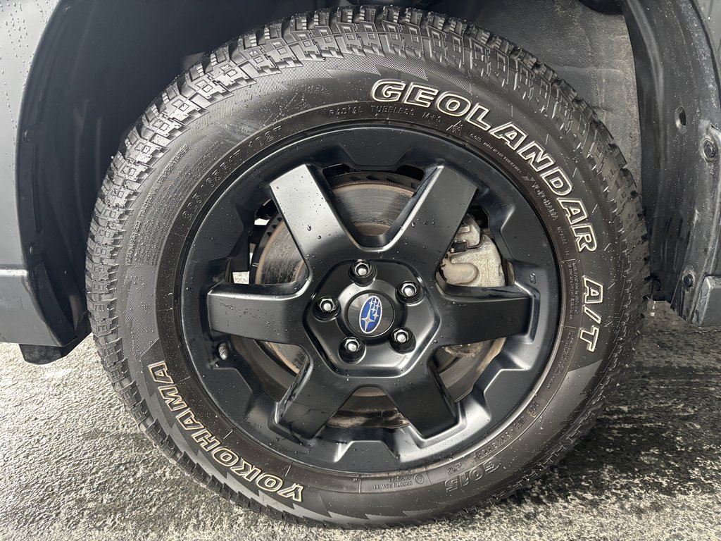 Subaru Outback Wilderness AWD 2025 à Saint-Georges, Québec - 10 - w1024h768px