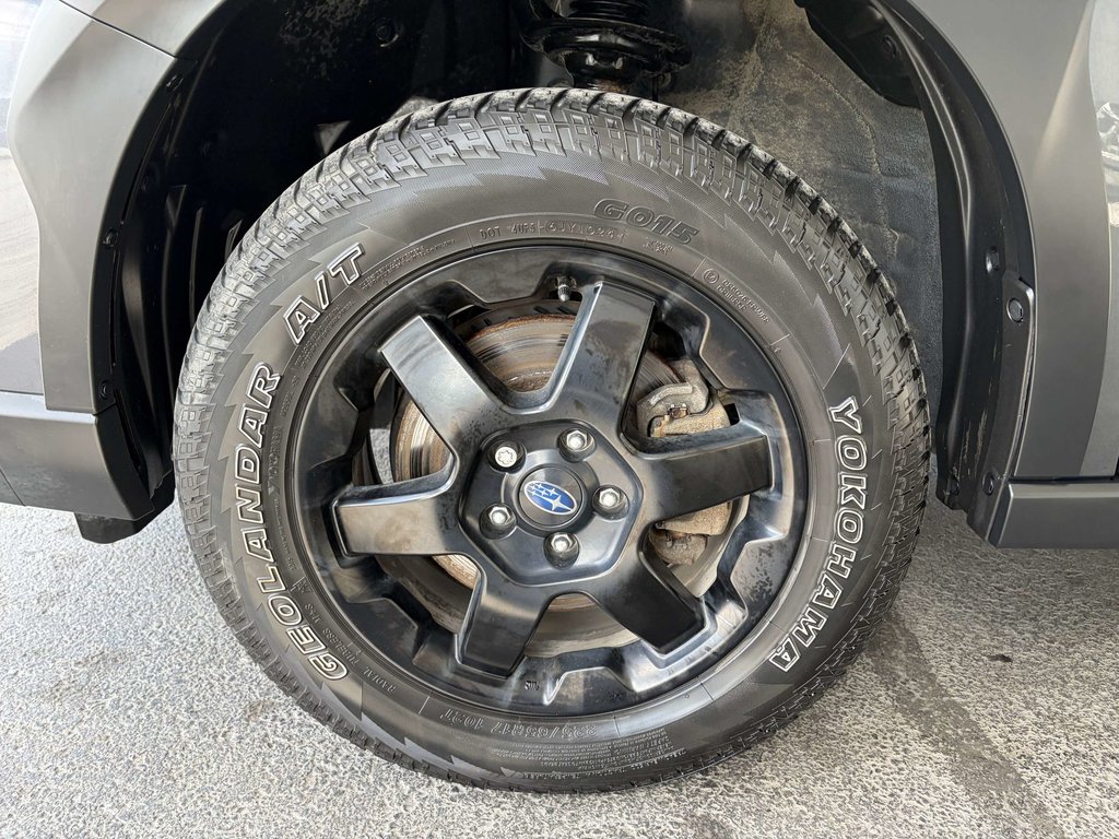 Subaru OUTBACK Wilderness AWD 2025 à Saint-Georges, Québec - 10 - w1024h768px