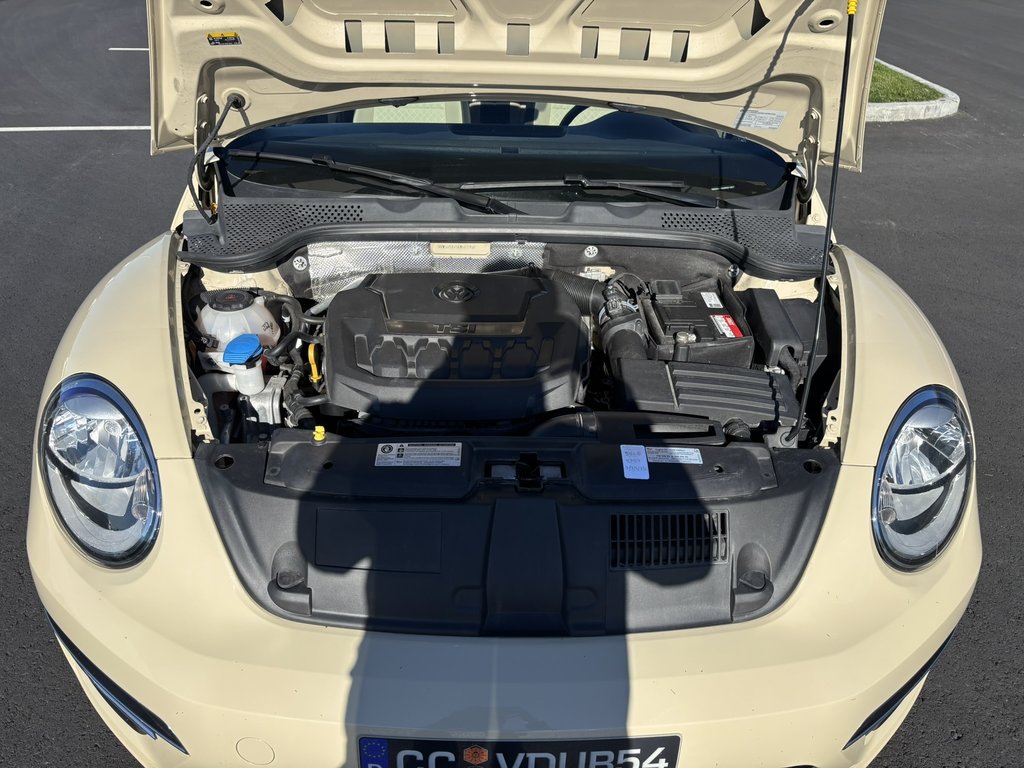 Volkswagen Beetle Convertible Wolfsburg Edition Auto 2019 à Saint-Georges, Québec - 8 - w1024h768px