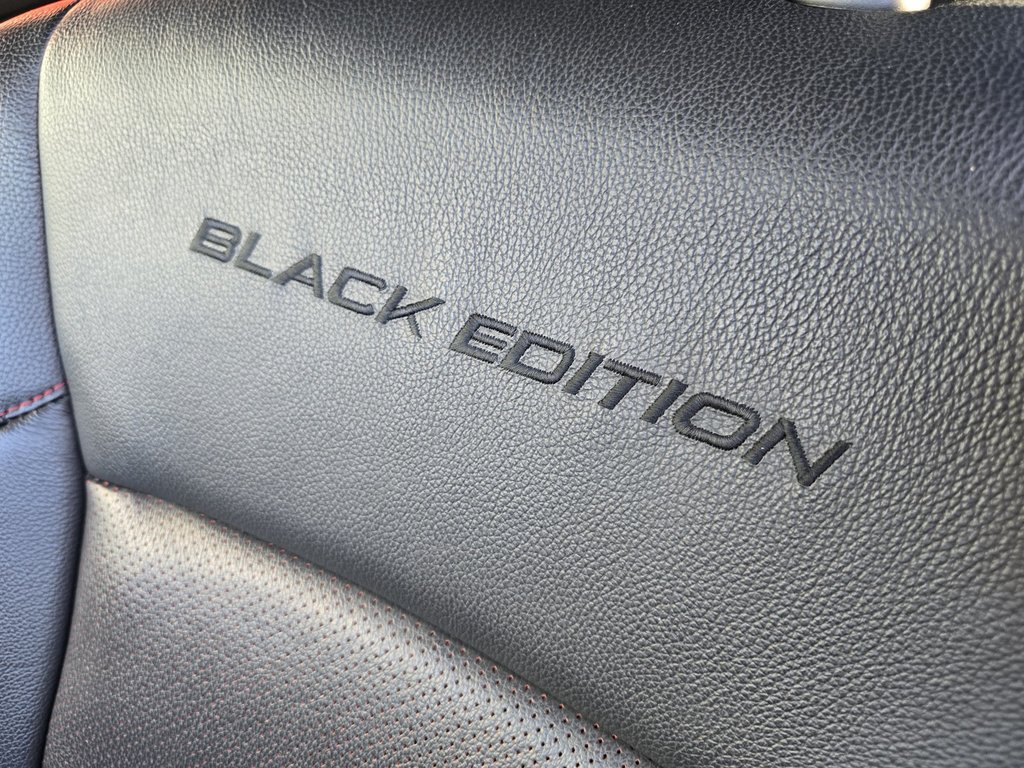 2022 Honda Pilot Black Edition-2