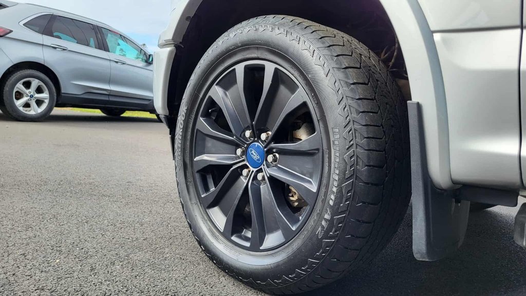 Ford F-150 XLT SPORT  302A   ÉDITION SPÉCIALE 2019 à Matane, Québec - 15 - w1024h768px