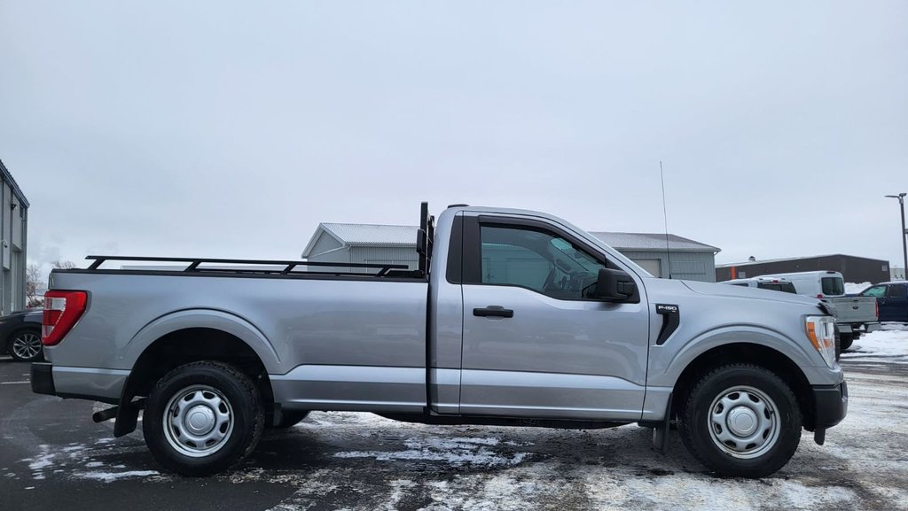 Ford F-150 XL  4X2 Régulier Cab 2021 à Matane, Québec - 4 - w1024h768px