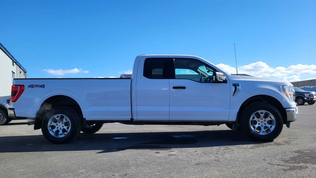 Ford F-150 XLT BOITE DE 8 PIEDS 2021 à Matane, Québec - 4 - w1024h768px