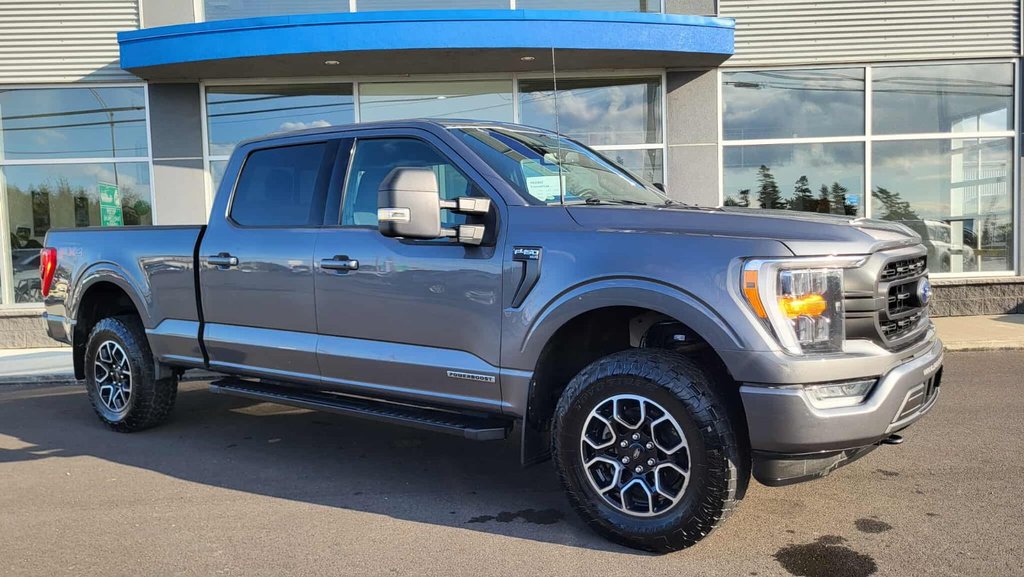 Ford F-150 XLT  SPORT 302A  HYBRIDE 2022 à Matane, Québec - 3 - w1024h768px