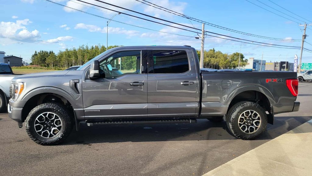 Ford F-150 XLT  SPORT 302A  HYBRIDE 2022 à Matane, Québec - 15 - w1024h768px