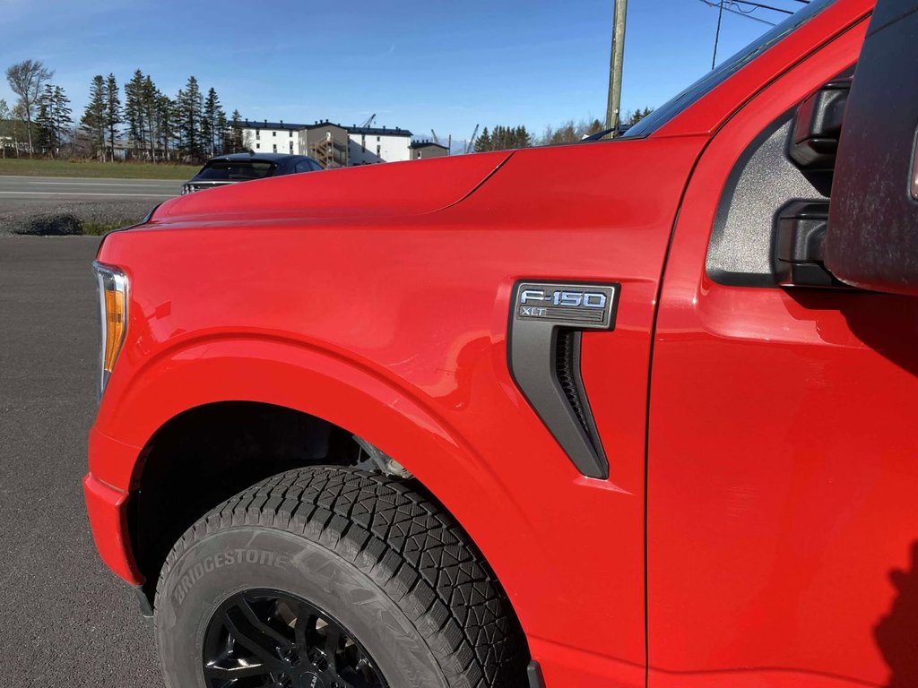 2023 Ford F-150 XLT  SPORT 302A in Matane, Quebec - 8 - w1024h768px