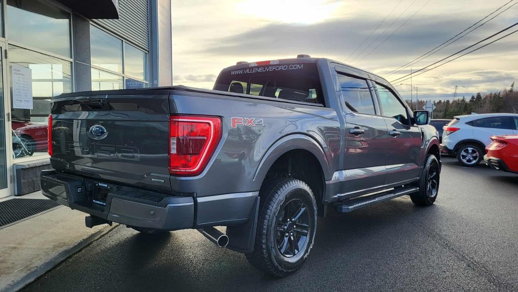 Ford F-150 XLT  SPORT 302A 2023 à Matane, Québec - 3 - w1024h768px