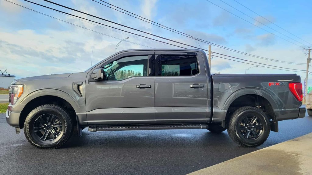 Ford F-150 XLT  SPORT 302A 2023 à Matane, Québec - 15 - w1024h768px