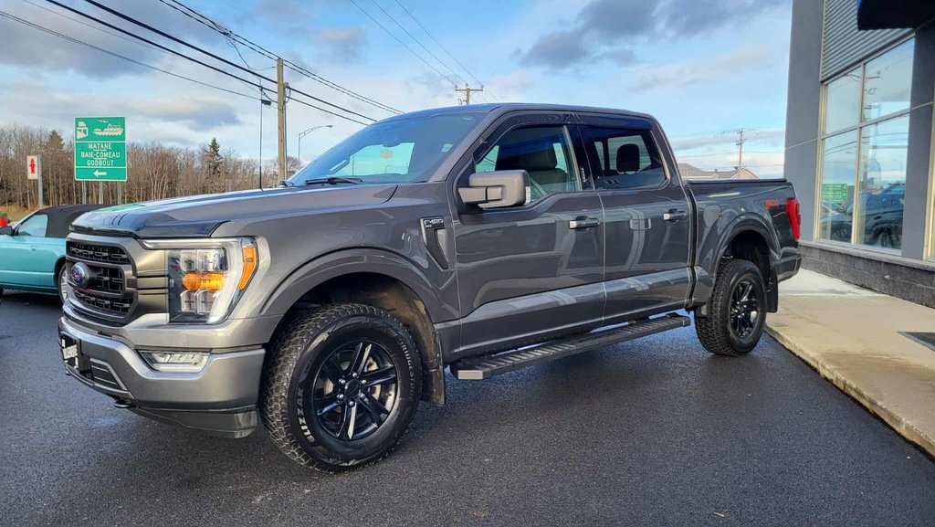 Ford F-150 XLT  SPORT 302A 2023 à Matane, Québec - 14 - w1024h768px
