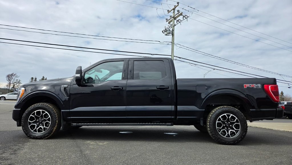 Ford F-150 XLT  SPORT 302A 2023 à Matane, Québec - 9 - w1024h768px
