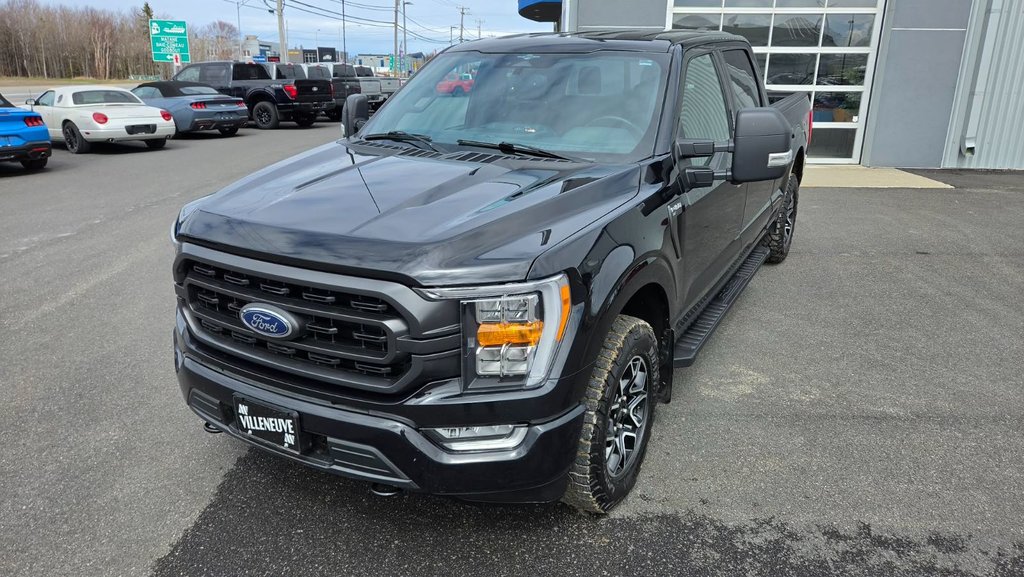Ford F-150 XLT  SPORT 302A 2023 à Matane, Québec - 11 - w1024h768px