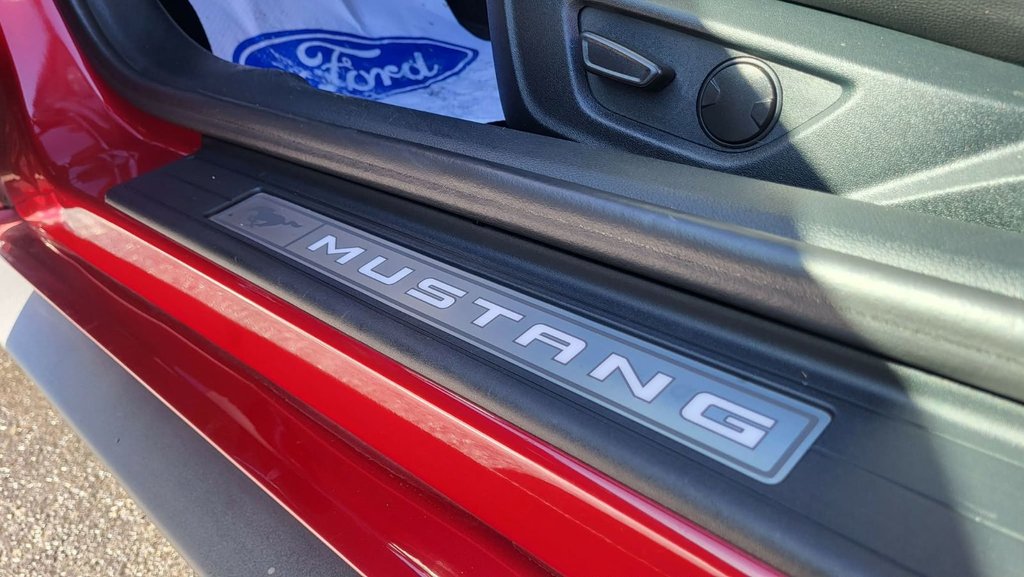 Ford Mustang GT Premium SPECIAL CALIFORNIE 2022 à Matane, Québec - 17 - w1024h768px