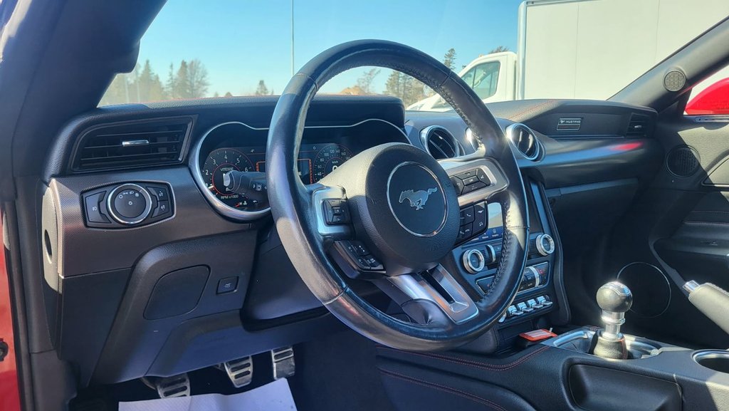 Ford Mustang GT Premium SPECIAL CALIFORNIE 2022 à Matane, Québec - 21 - w1024h768px