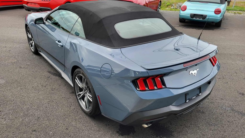 Ford Mustang EcoBoost Premium 2025 à Matane, Québec - 19 - w1024h768px