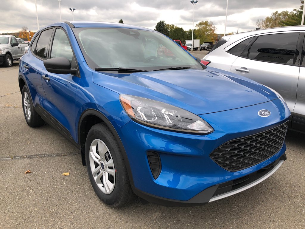 Violette Ford Grand Falls 2020 Ford