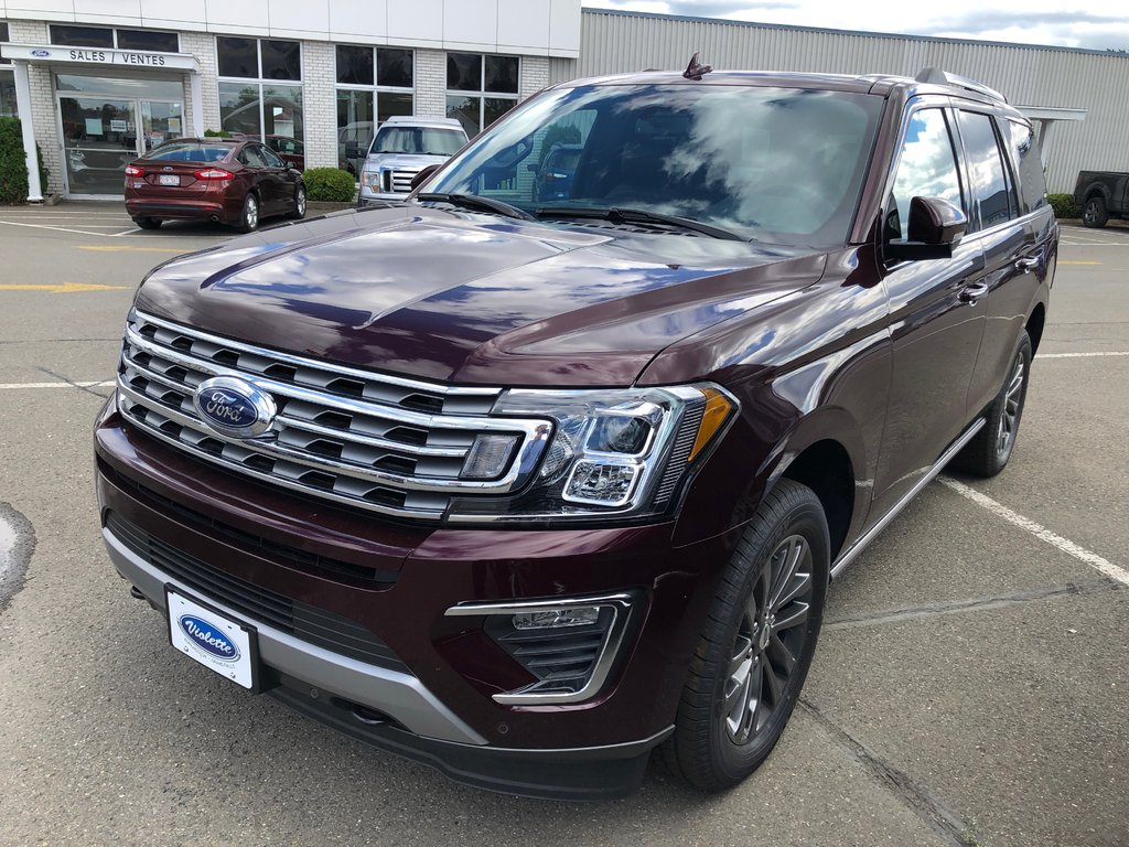 Violette Ford Grand Falls 2020 Ford