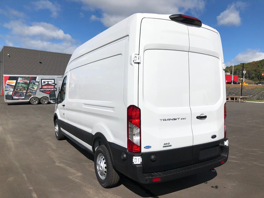 Violette Ford Grand Falls 2020 Ford