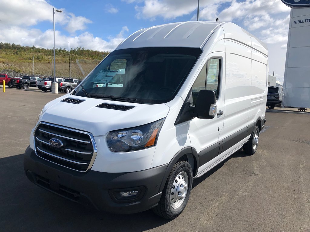 Violette Ford Grand Falls 2020 Ford