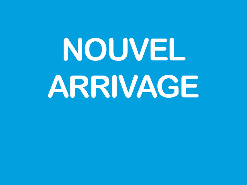 2021 Volkswagen Golf HIGHLINE+BAS KM+CUIR+TOIT in Laval, Quebec - 5 - w1024h768px