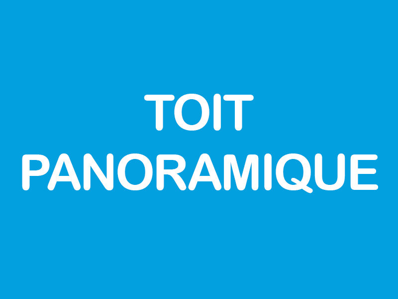 2021 Volkswagen Tiguan COMFORTLINE+TOIT PANO+CUIR+CARPLAY in Laval, Quebec - 6 - w1024h768px