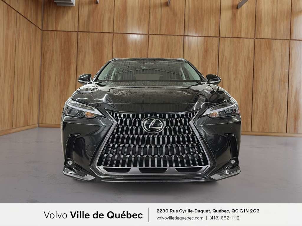 2022 Lexus NX-Series 350 Executive-2
