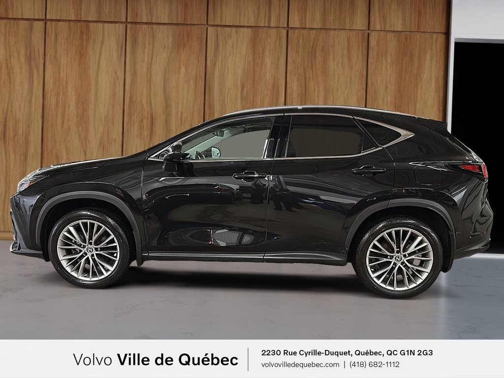 2022 Lexus NX 350-4