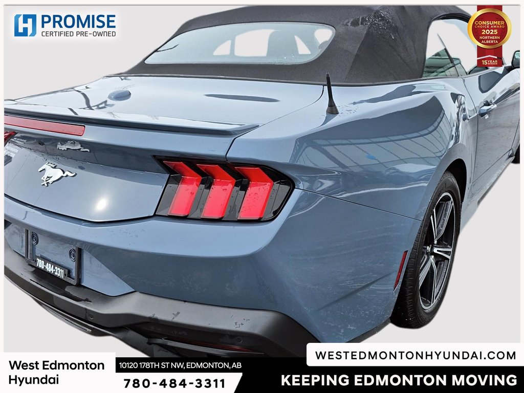 2025 Ford Mustang EcoBoost Premium in Edmonton, Alberta - 9 - w1024h768px