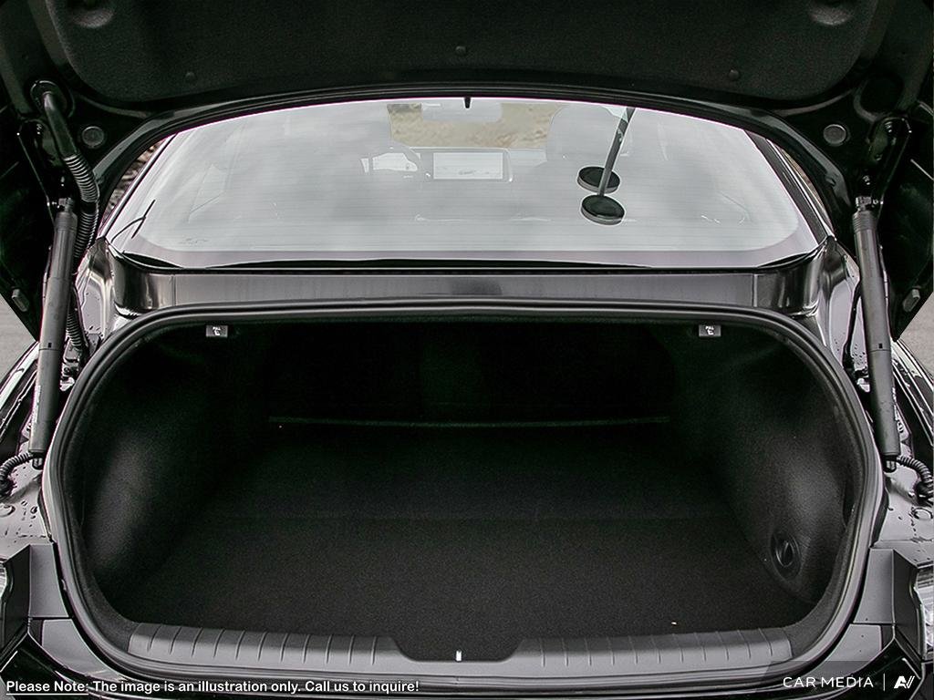 2025 Hyundai Ioniq 5 Preferred RWD Long Range in Edmonton, Alberta - 6 - w1024h768px