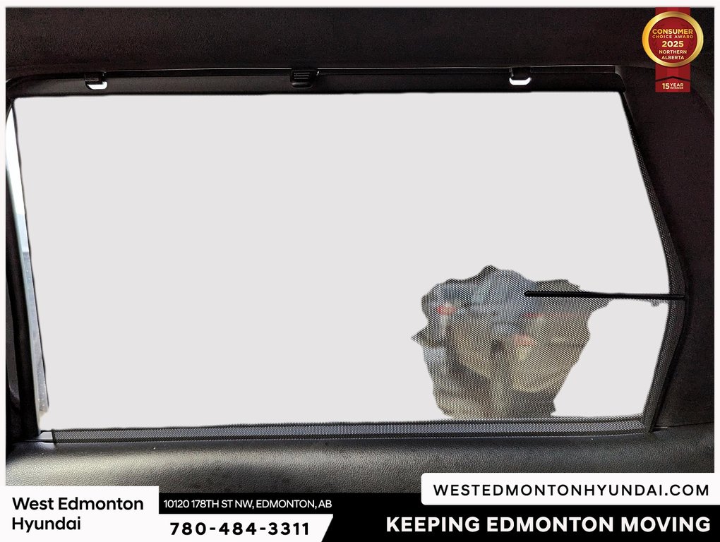 2023 Hyundai Palisade Ultimate Calligraphy in Edmonton, Alberta - 25 - w1024h768px