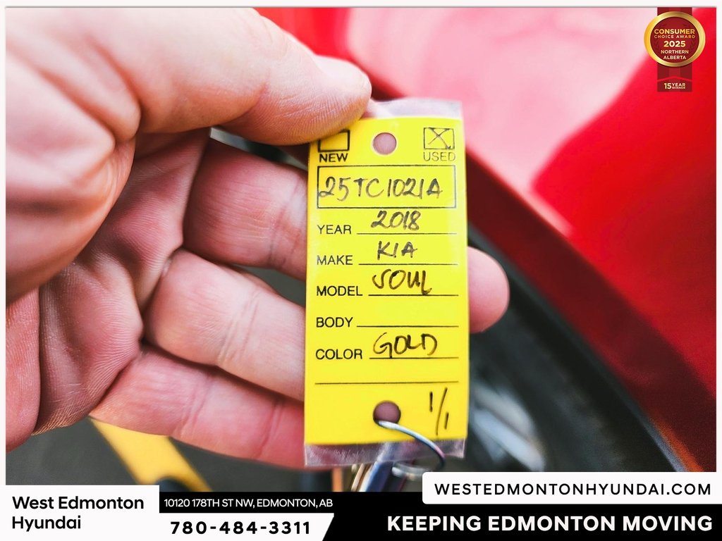 2018 Kia Soul EV EV Luxury in Edmonton, Alberta - 39 - w1024h768px