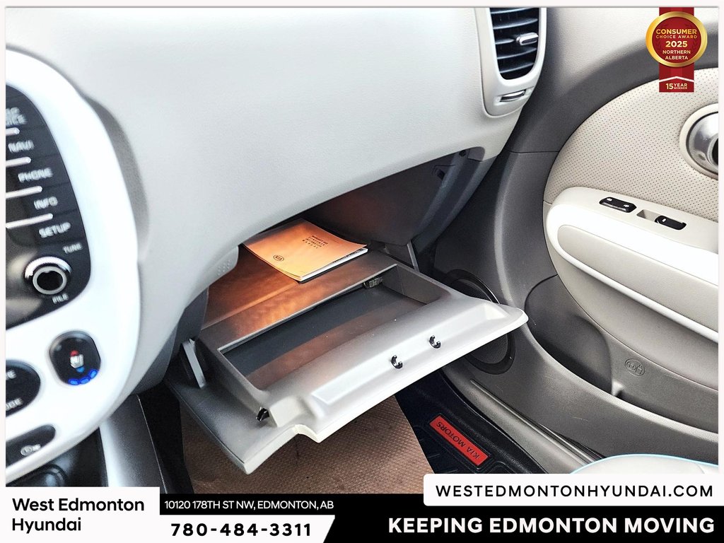 2018 Kia Soul EV EV Luxury in Edmonton, Alberta - 35 - w1024h768px