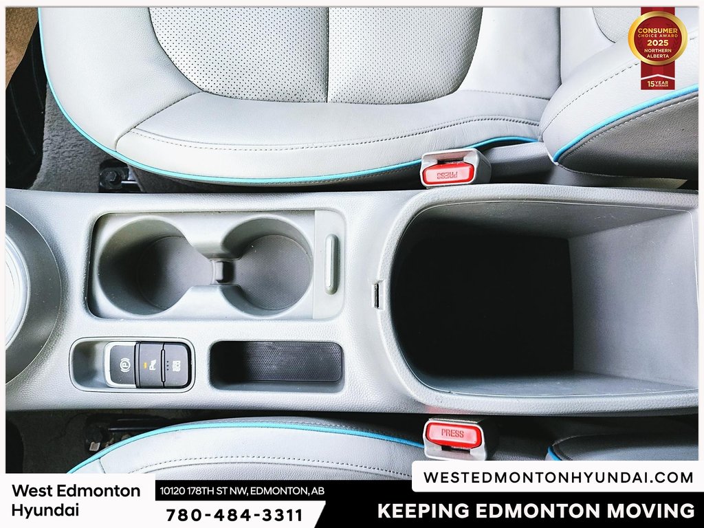 2018 Kia Soul EV EV Luxury in Edmonton, Alberta - 36 - w1024h768px
