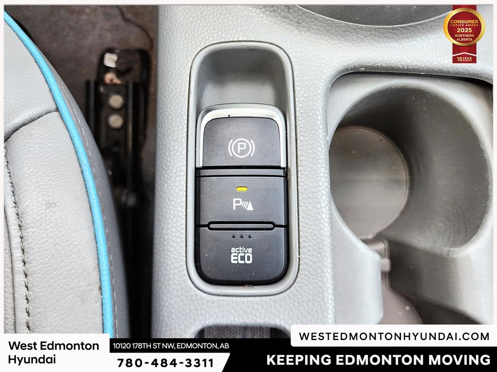 2018 Kia Soul EV EV Luxury in Edmonton, Alberta - 32 - w1024h768px