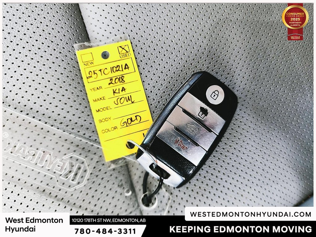 2018 Kia SOUL EV EV Luxury in Edmonton, Alberta - 6 - w1024h768px