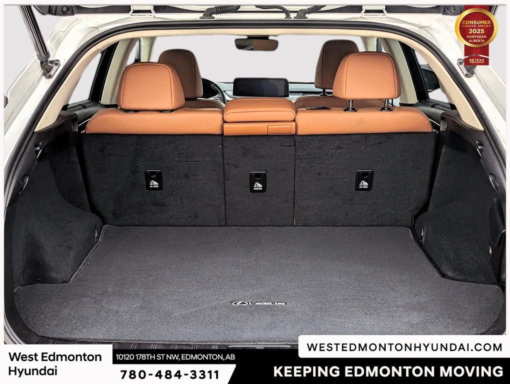 2022 Lexus RX 350 in Edmonton, Alberta - 26 - w1024h768px