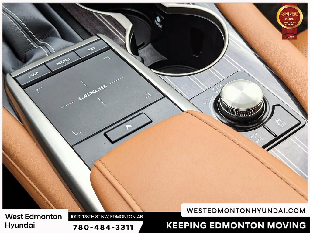2022 Lexus RX 350 in Edmonton, Alberta - 9 - w1024h768px