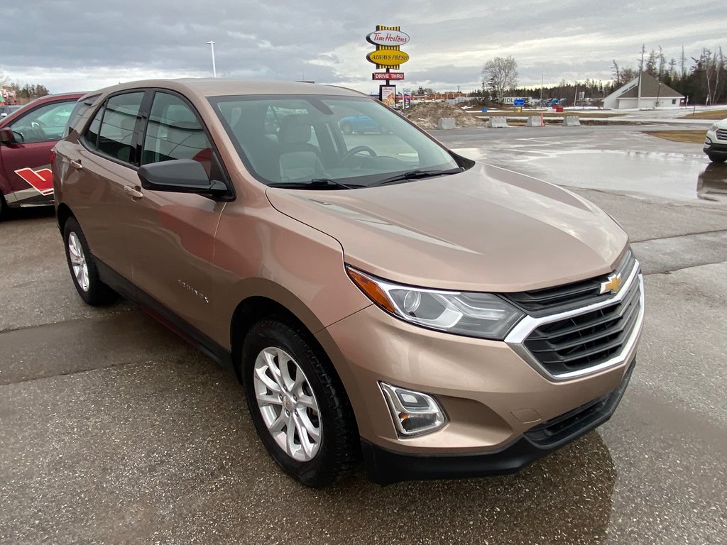 2019 Chevrolet Equinox in Deer Lake, Newfoundland and Labrador - 6 - w1024h768px